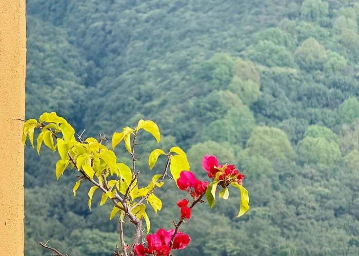 Homestay Perched On A Mountain Top, Breathtaking View Kathmandu